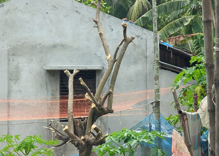 মোংলায় গাছের ডাল কাটাকে কেন্দ্র করে প্রতিপক্ষের হামলায় আহত ৭