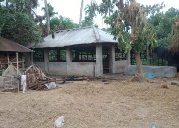 মোল্লাহাটে গোয়ালঘরে অগ্নিকাণ্ডে  দগ্ধ ৪ গরু : ১০ লাখ টাকা ক্ষতি