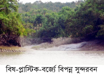 বিষ-প্লাস্টিক-বর্জ্যে বিপন্ন সুন্দরবন