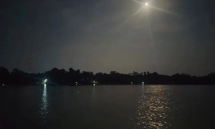 বাগেরহাটে ৭ বছরের শিশুকে ধরে নিয়ে গেল কুমির