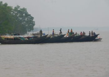 প্রাকৃতিক ও মনুষ্য সৃষ্ট নানাবিধ ক্ষতিতে হুমকির মুখে সুন্দরবনের জীববৈচিত্র্য