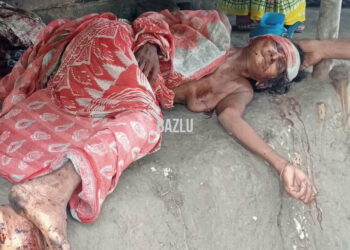 পাইকগাছায় বৃদ্ধা নারীকে কুপিয়ে গুরুতর জখম