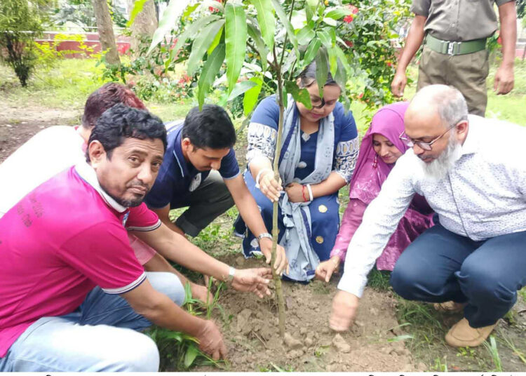 ফুলতলায় বিশ্ব পরিবেশ দিবস পালিত
