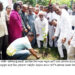 খুলনার খালিশপুরে ডিভাইডারে বৃক্ষরোপণের উদ্বোধন করেন কেসিসি প্রশাসক