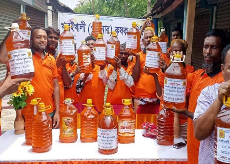 মোরেলগঞ্জে কৃষকের স্বপ্ন বাস্তবায়ন, উৎপাদিত সূর্যমুখী তেল বাজারজাত