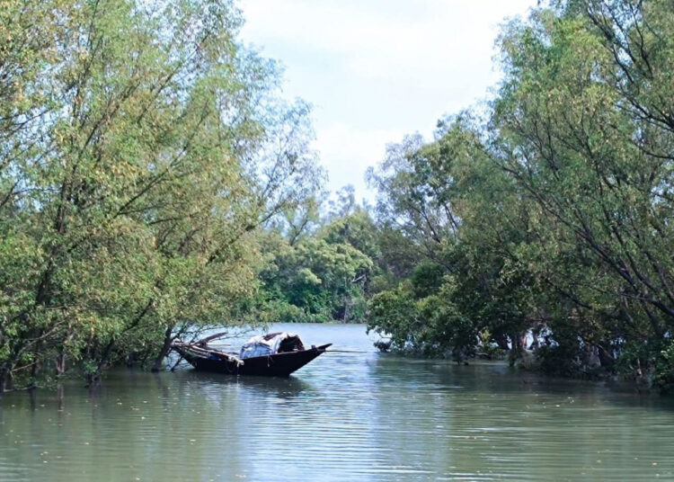 সুন্দরবনে কোস্টগার্ডের অভিযান: ‘দুলাভাই’ বাহিনীপ্রধান গুলিবিদ্ধ অবস্থায় আটক, অপহৃত জেলে নিহত