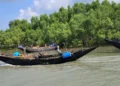 সুন্দরবনে অপহরণের ৩ দিন পর বনবিভাগের বেতার চালকসহ তিনজনের মুক্তি