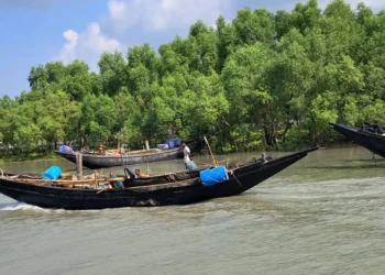সুন্দরবনে অপহরণের ৩ দিন পর বনবিভাগের বেতার চালকসহ তিনজনের মুক্তি