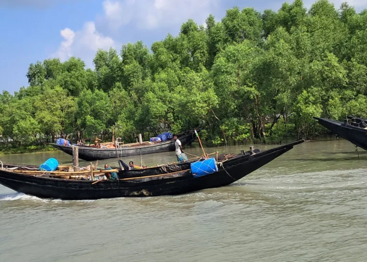 সুন্দরবনে অপহরণের ৩ দিন পর বনবিভাগের বেতার চালকসহ তিনজনের মুক্তি
