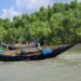 সুন্দরবনে অপহরণের ৩ দিন পর বনবিভাগের বেতার চালকসহ তিনজনের মুক্তি