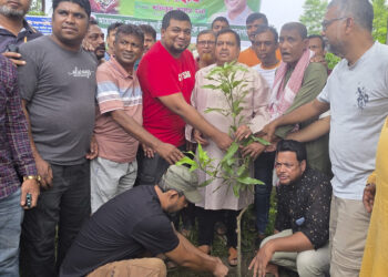 প্রধানমন্ত্রী দেশের পরিবেশ সুরক্ষা ও পরিকল্পিত নগরায়ণে গুরুত্বারোপ করছেন-এ্যাড. মনা