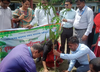 মোল্লাহাটে উপজেলা পর্যায়ে বৃক্ষরোপণ অভিযান