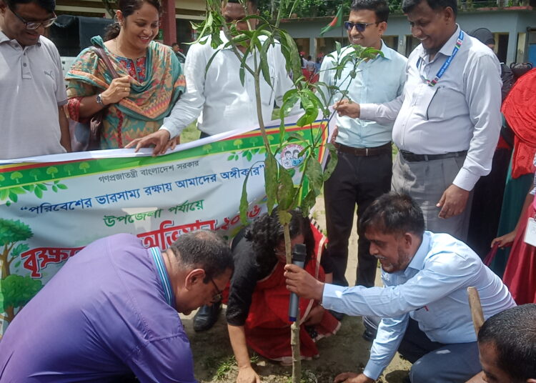 মোল্লাহাটে উপজেলা পর্যায়ে বৃক্ষরোপণ অভিযান