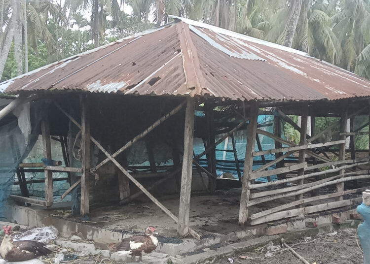 মোল্লাহাটে গোয়ালঘরে আগুন ও তিন গরু নিখোঁজের অভিযোগ, পাল্টা ষড়যন্ত্রের দাবি