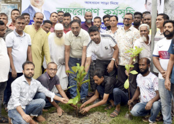 খুলনা মহানগরীর ৯ ওয়ার্ডে নগর যুবদলের বৃক্ষরোপণ