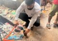নারায়ণগঞ্জে নদীদূষণকারী শিল্পপ্রতিষ্ঠানে এবং ঢাকায় বুড়িগঙ্গা থেকে পরিবেশ অধিদপ্তরের নমুনা সংগ্রহ